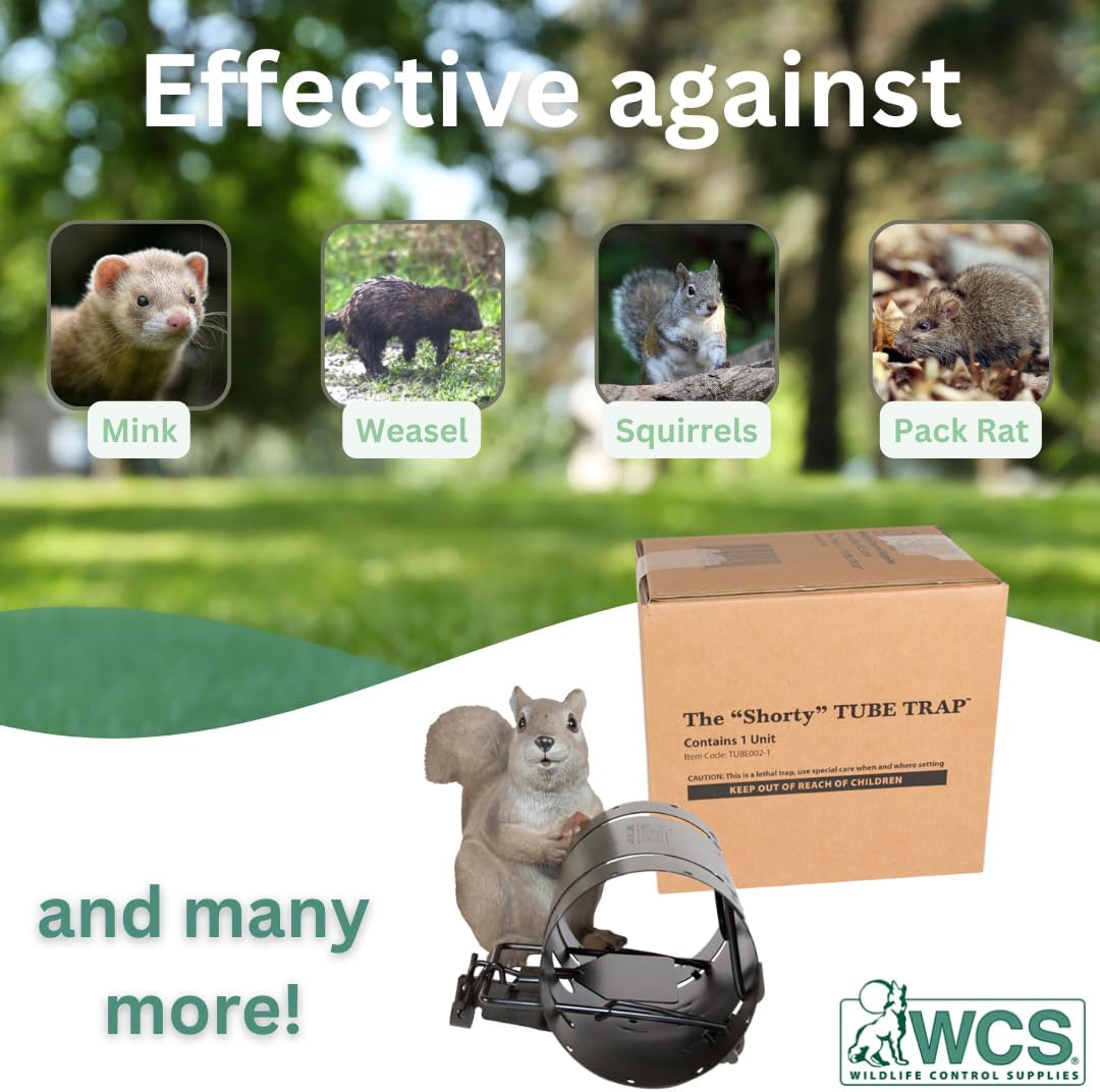 Shorty Tube Squirrel Trap –Compact Spring-Loaded Rodent Trap by Wildlife Control Supplies –Safe and Effective Pest Control for Commercial and Residential Use –Great for Backyards, Patios, and Gardens