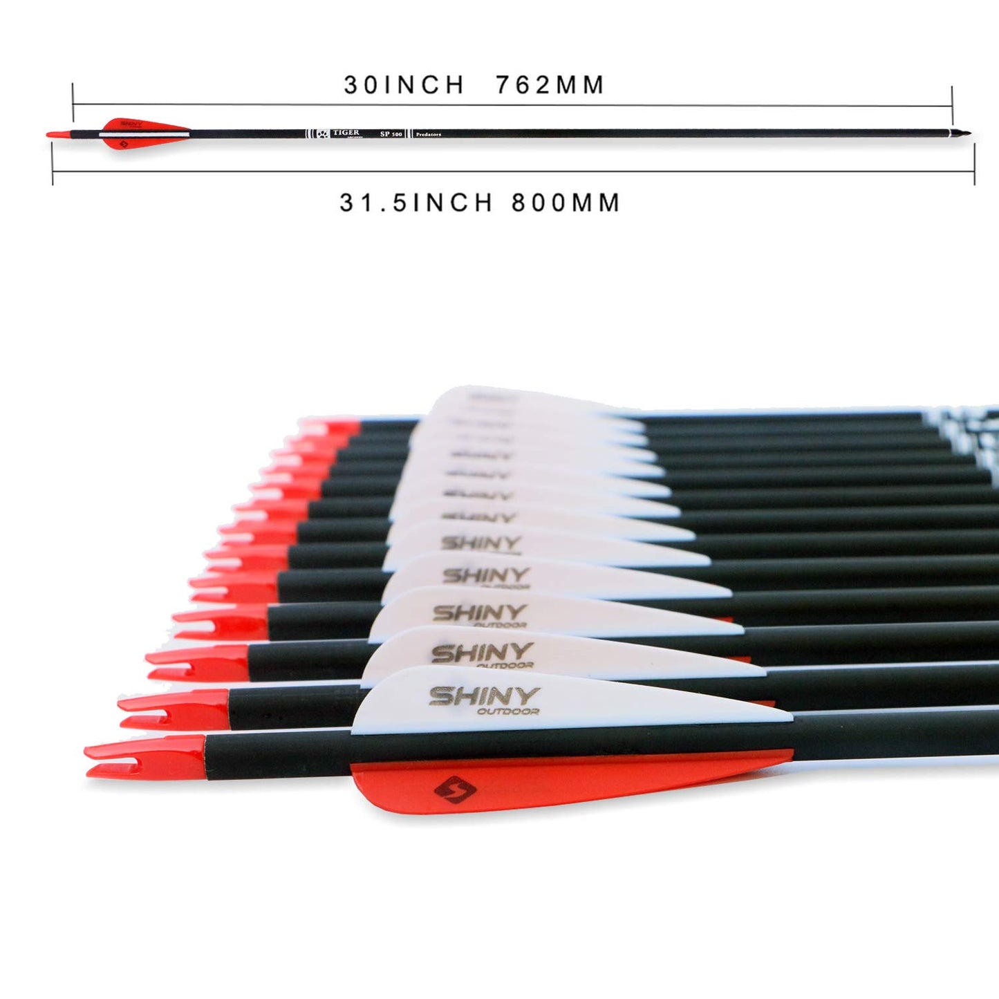 30Inch Carbon Arrow Practice Hunting Arrows with Removable Tips for Compound & Recurve Bow(Pack of 12)