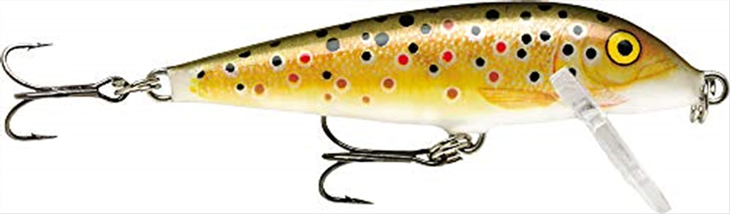 Rapala CountDown Lure, Fishing Sinking Lures, 1 Count