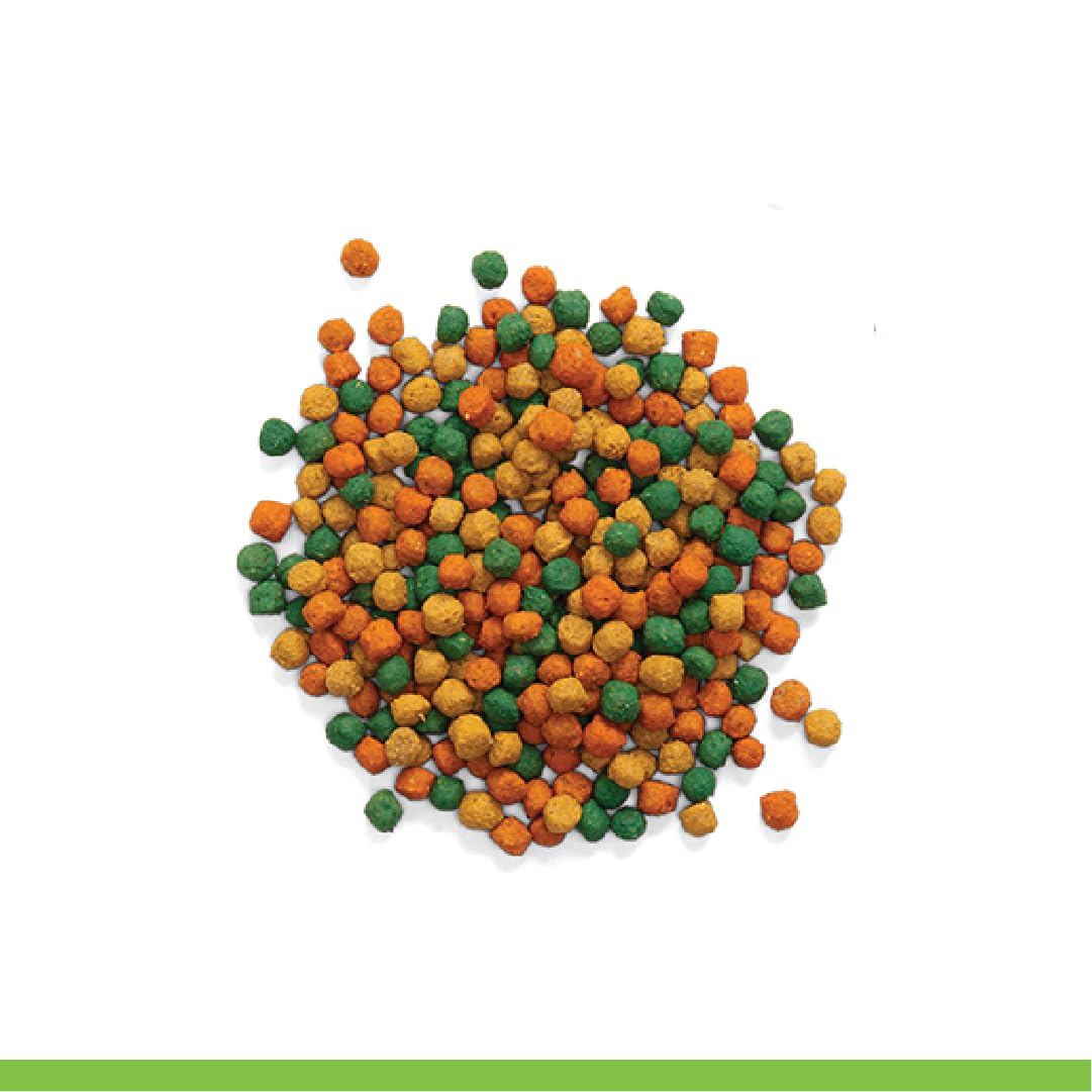 ZuPreem Sensible Seed Bird Food, Cockatiel, Lovebird, Quaker, Small Conure, Seed and Pellet Blend for Medium Birds, Food Mixer Topper, Enriching Variety, Made in the USA, (M, 2 lbs)