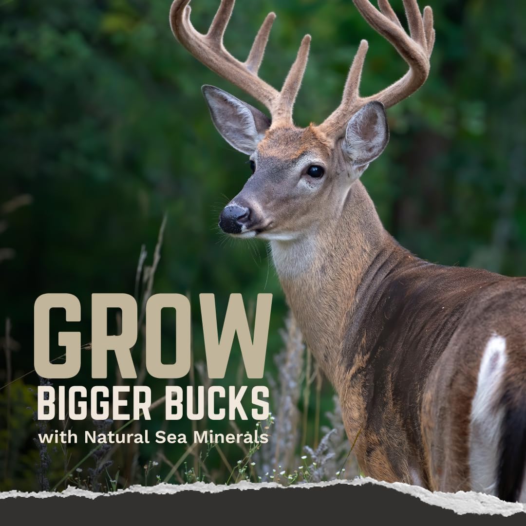 Redmond All-Natural Mineral Rock/Salt Lick, Attract Deer and Big Game 12 pounds