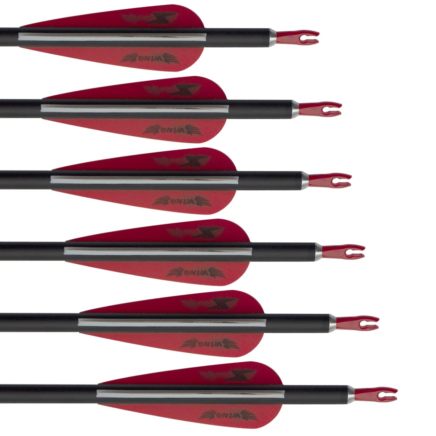 31inch Carbon Arrow Archery Targeting Practice Hunting Arrows for Compound & Recurve Bow with Removable Tips(Pack of 12)