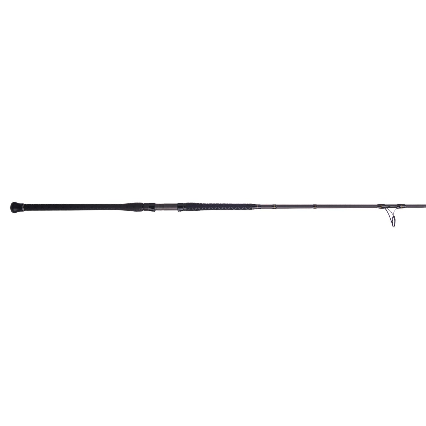 PENN Squadron III Surf Spinning Fishing Rod