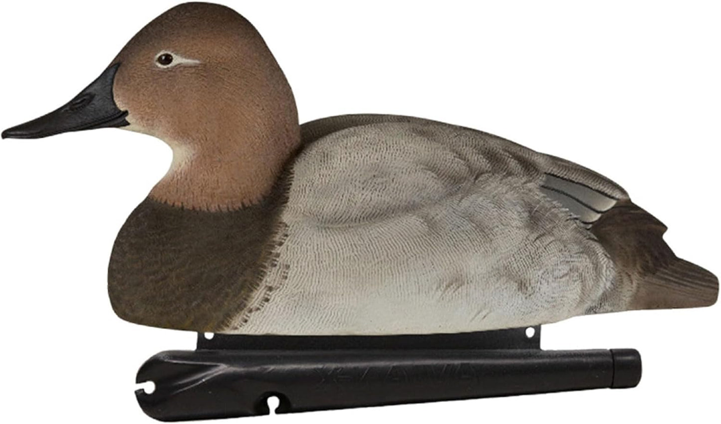 Avian-X Topflight Blue Bills Duck Decoys with Weight Forward Swim Keel Bundled with Topflight Canvasbacks Decoys, Realistic Gray Ducks