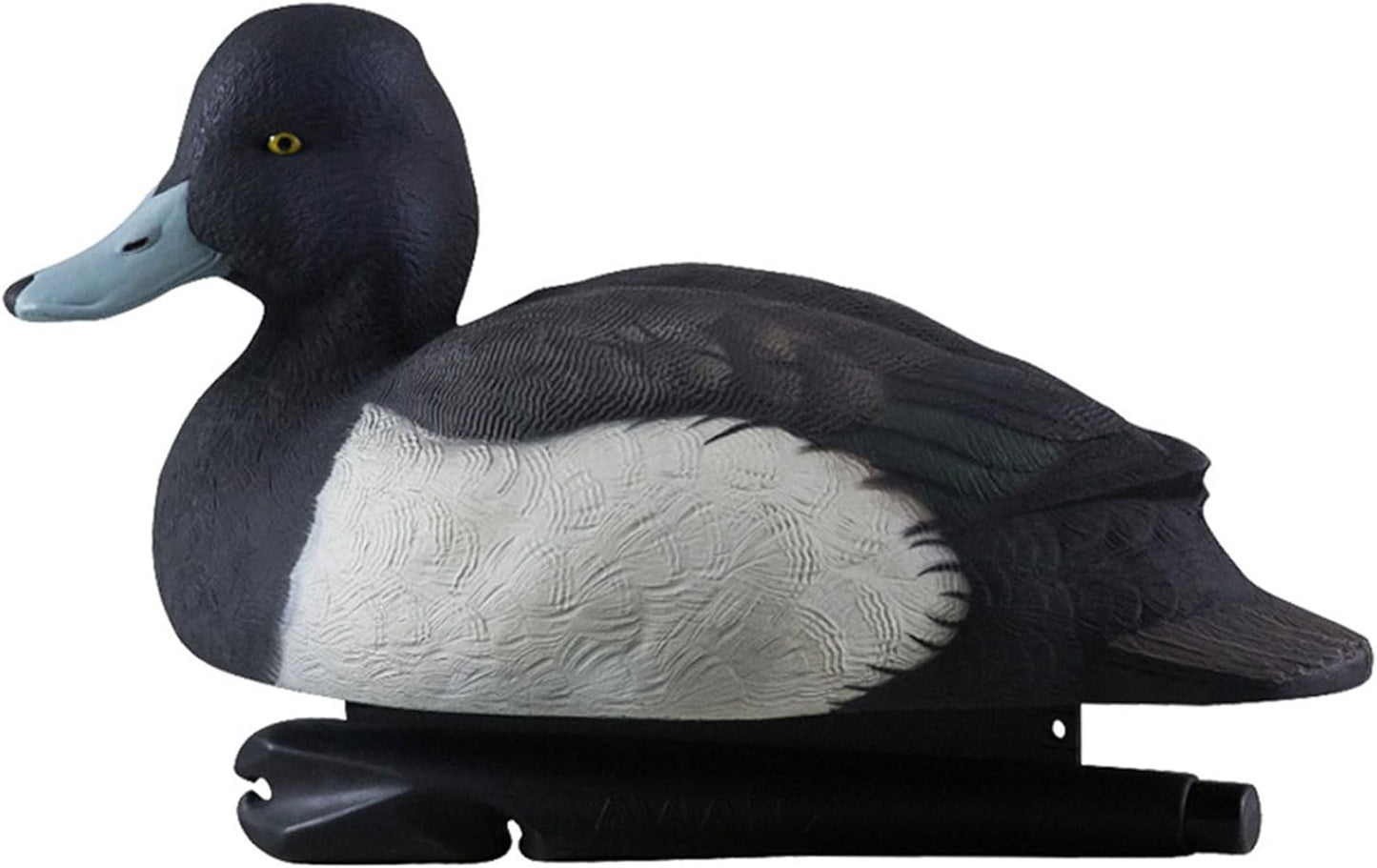 Avian-X Topflight Blue Bills Duck Decoys with Weight Forward Swim Keel Bundled with Topflight Canvasbacks Decoys, Realistic Gray Ducks