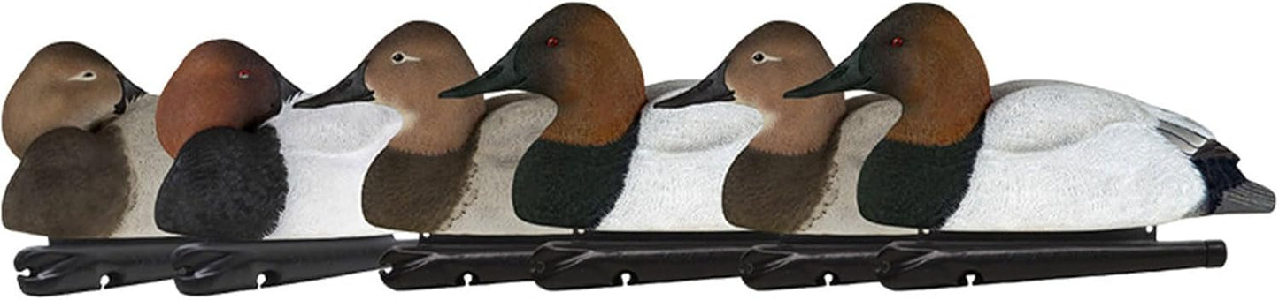 Avian-X Topflight Blue Bills Duck Decoys with Weight Forward Swim Keel Bundled with Topflight Canvasbacks Decoys, Realistic Gray Ducks