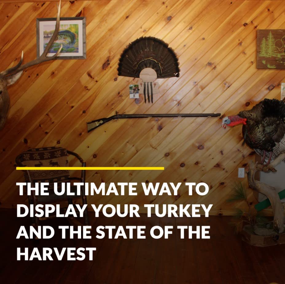 Esh Turkey Fan Mount Kit - Customized State Turkey Tail Mounting Plaque - Natural Oak Wood - Standard