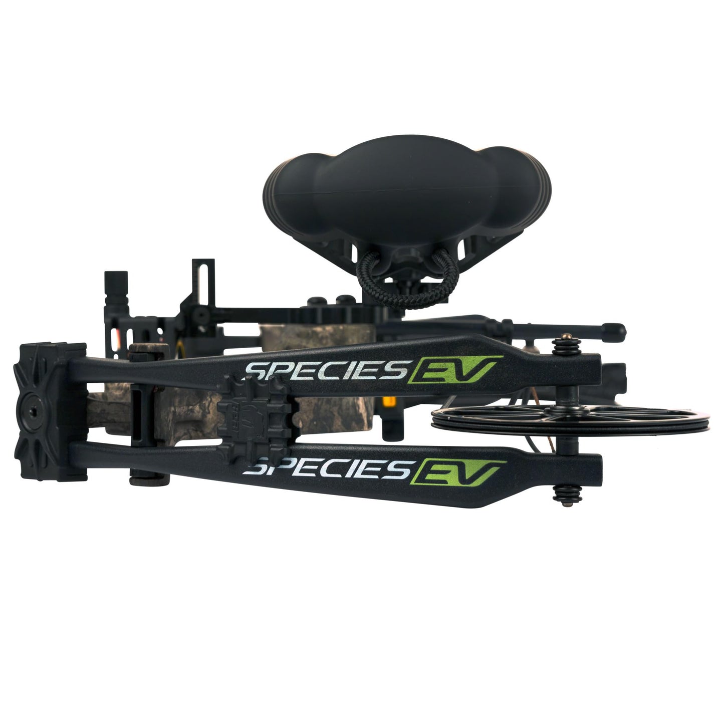 Bear Archery Species EV Ready to Hunt Adult Compound Bow Package, 23.5”- 30.5” Draw Length, 55-70 and 45-60 Lbs Draw Weight, Up to 320 FPS, Made in USA, Limited Life-Time Warranty