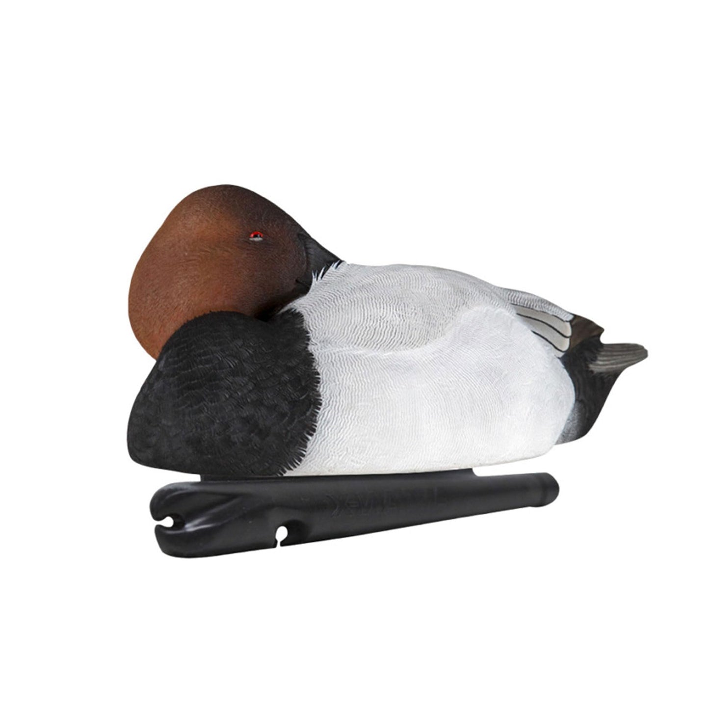 Avian X Topflight Canvasbacks Decoys Replicated Real Duck Bird Pack, Weight Forward Swim Keel Realistic Movement Design