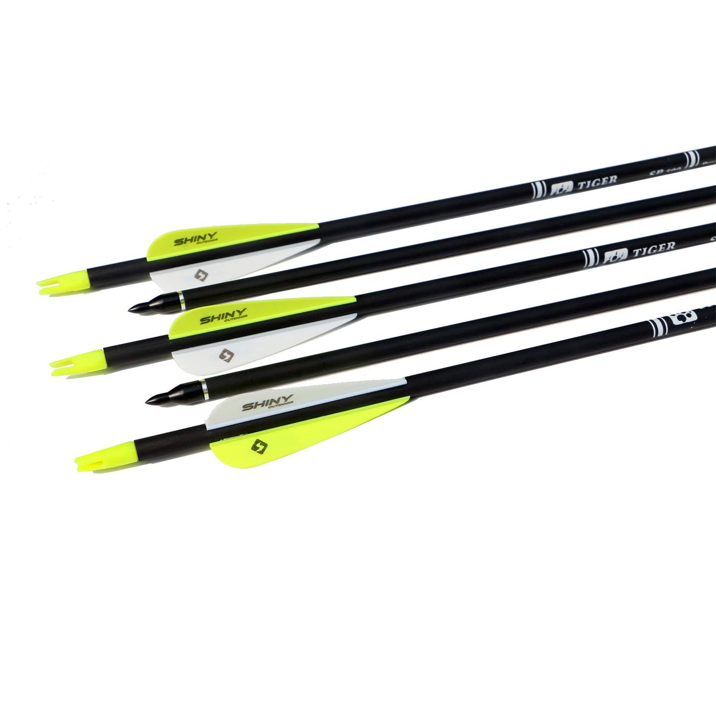 30Inch Carbon Arrow Practice Hunting Arrows with Removable Tips for Compound & Recurve Bow(Pack of 12)