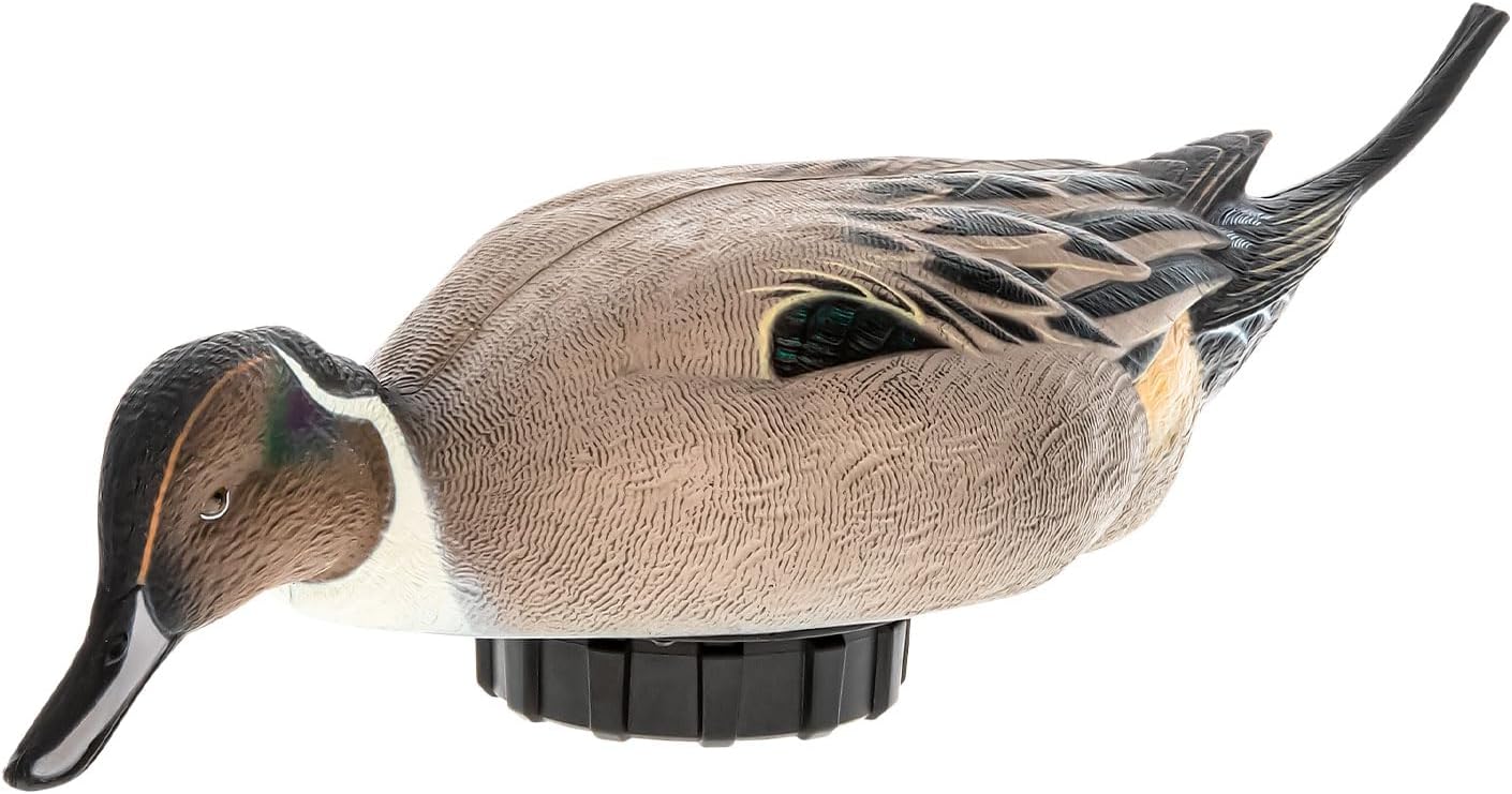 Avian-X Power Shaker Pintail Surface Feeder Floating Duck Decoy - Durable Foam-Filled Realistic Lifelike Waterfowl Hunting Motion Decoy