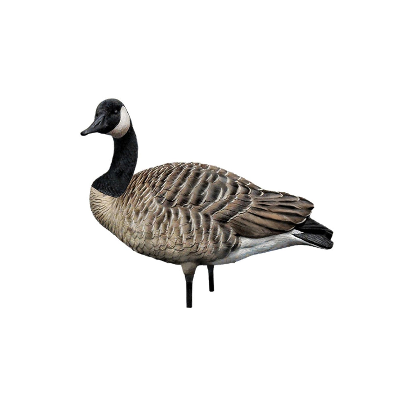 Avian X AXP Honkers Fusion Pack Full Body Canada Goose Decoys with Ultra Realistic Paint, Flocked Heads