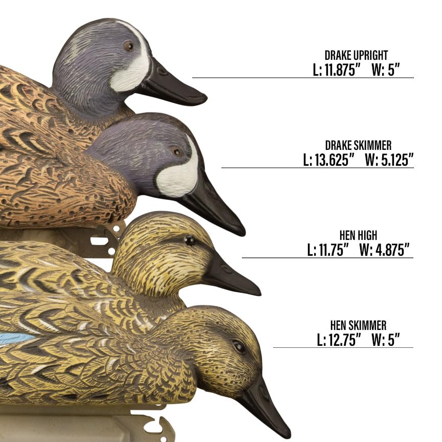 Higdon Outdoors | Standard Blue Wing Teal Duck Decoys, Foam-Filled