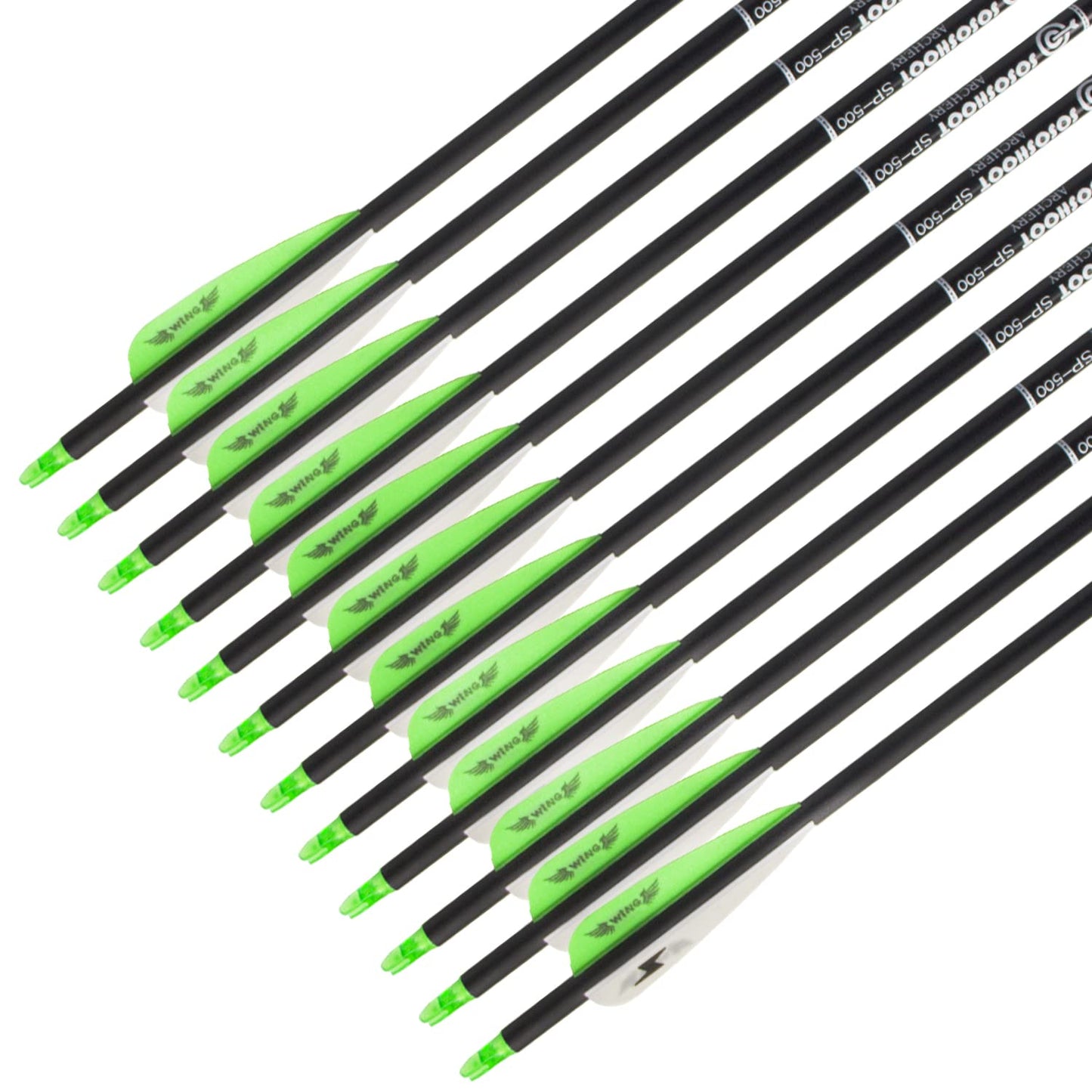 31inch Carbon Arrow Archery Targeting Practice Hunting Arrows for Compound & Recurve Bow with Removable Tips(Pack of 12)