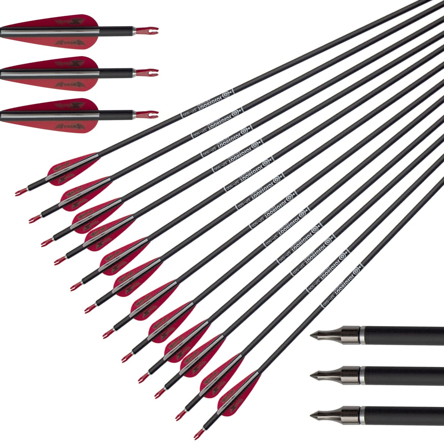 31inch Carbon Arrow Archery Targeting Practice Hunting Arrows for Compound & Recurve Bow with Removable Tips(Pack of 12)
