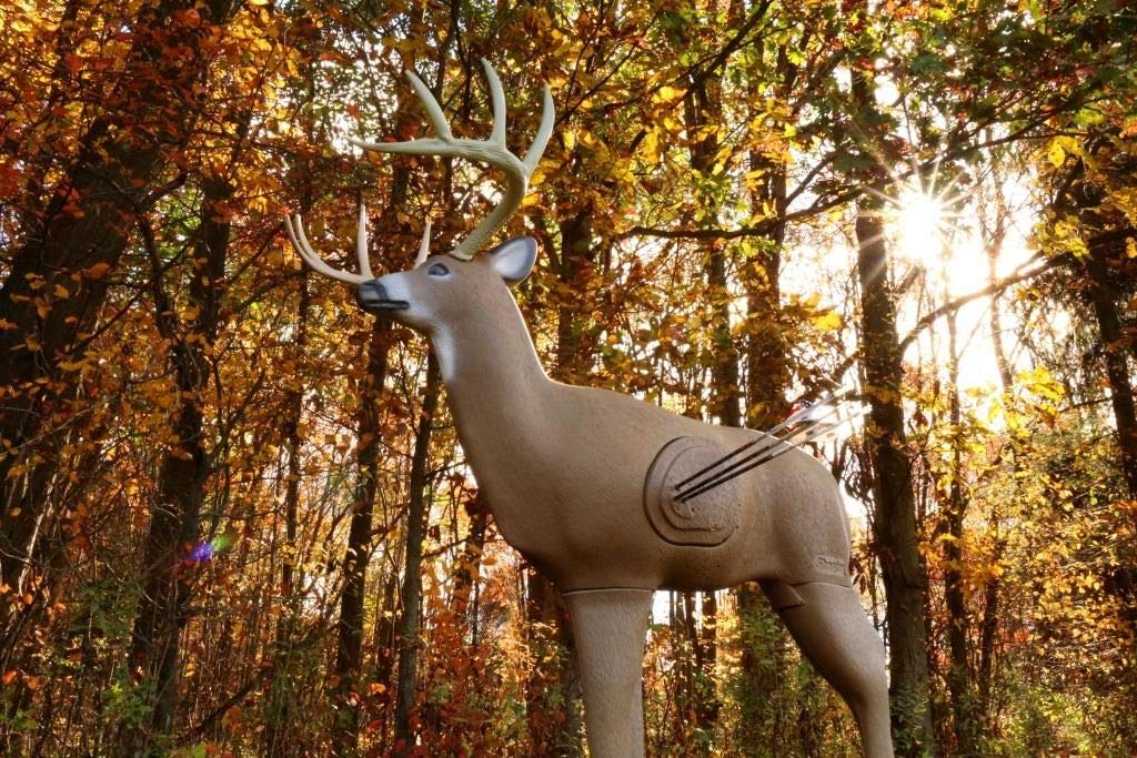 Shooter Buck 3D Deer Archery Target