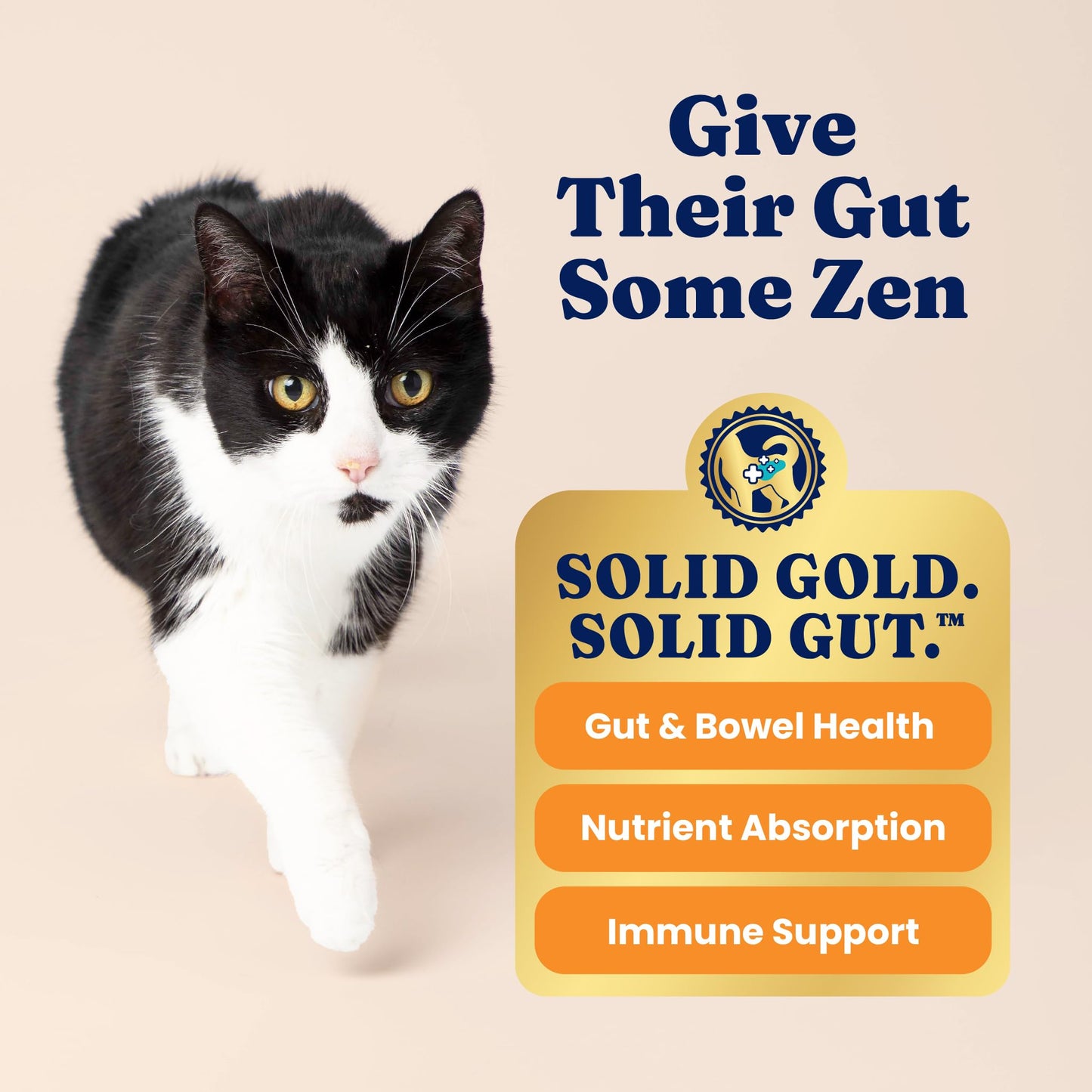 Solid Gold High Protein Dry Cat Food - Grain Free & Gluten Free Chicken Cat Dry Food w/Probiotics for Gut Health & Digestion - High Fiber & Omega 3 - Low Carb Superfood Kibble for Cats All Ages - 6LB