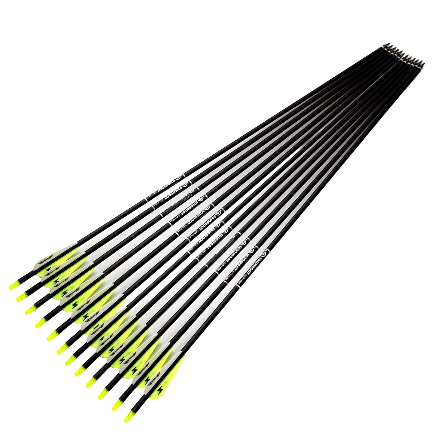 31inch Carbon Arrow Archery Targeting Practice Hunting Arrows for Compound & Recurve Bow with Removable Tips(Pack of 12)