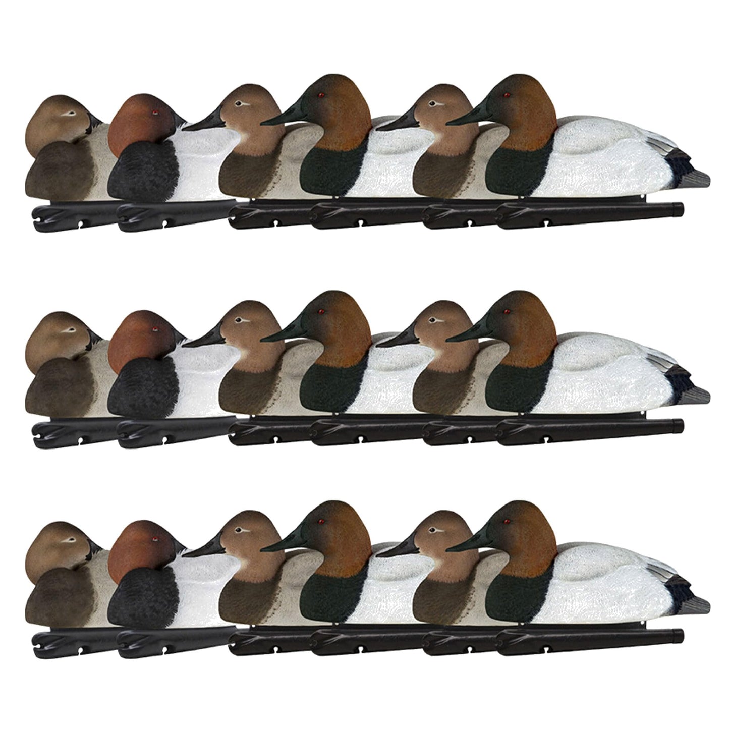 Avian X Topflight Canvasbacks Decoys Replicated Real Duck Bird Pack, Weight Forward Swim Keel Realistic Movement Design