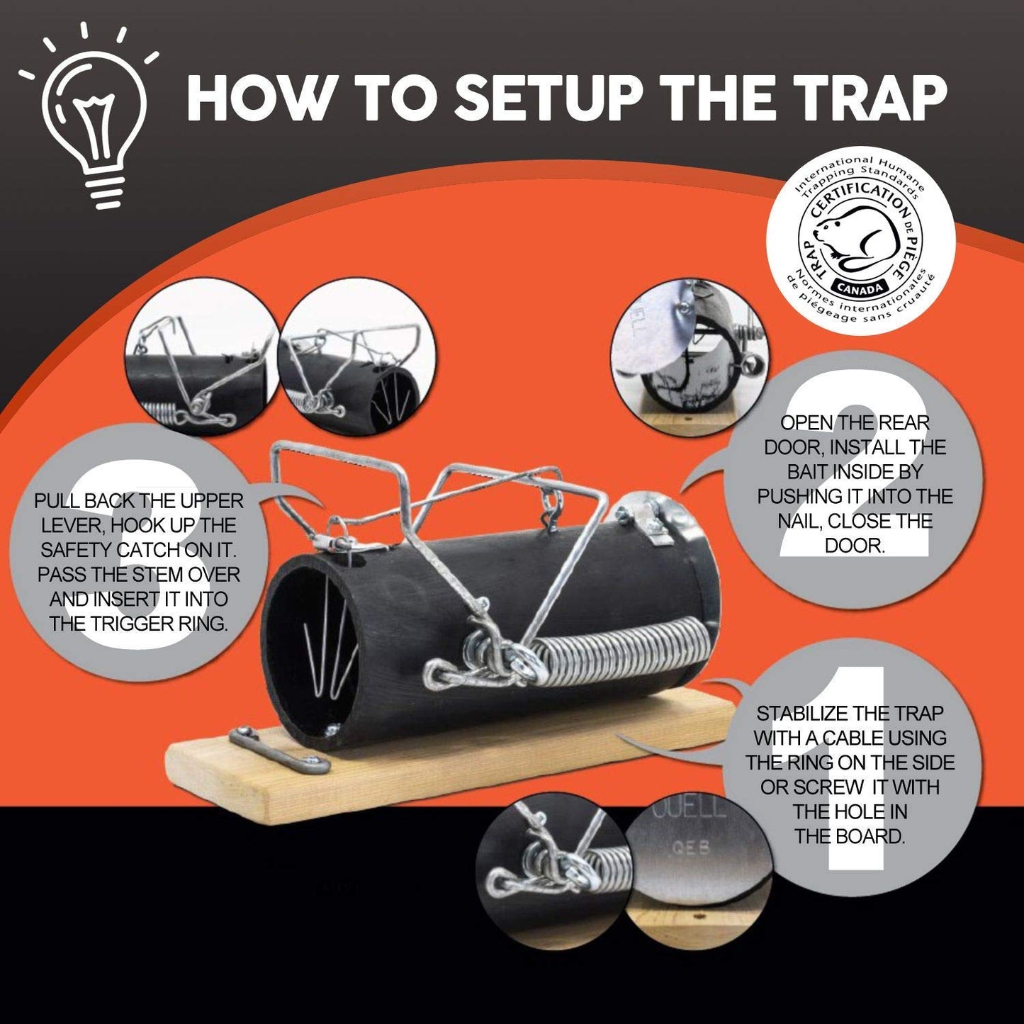 Squirrel Traps Outdoor - Squirrel Traps - Ouell Traps - Trap for Squirrels (Small)