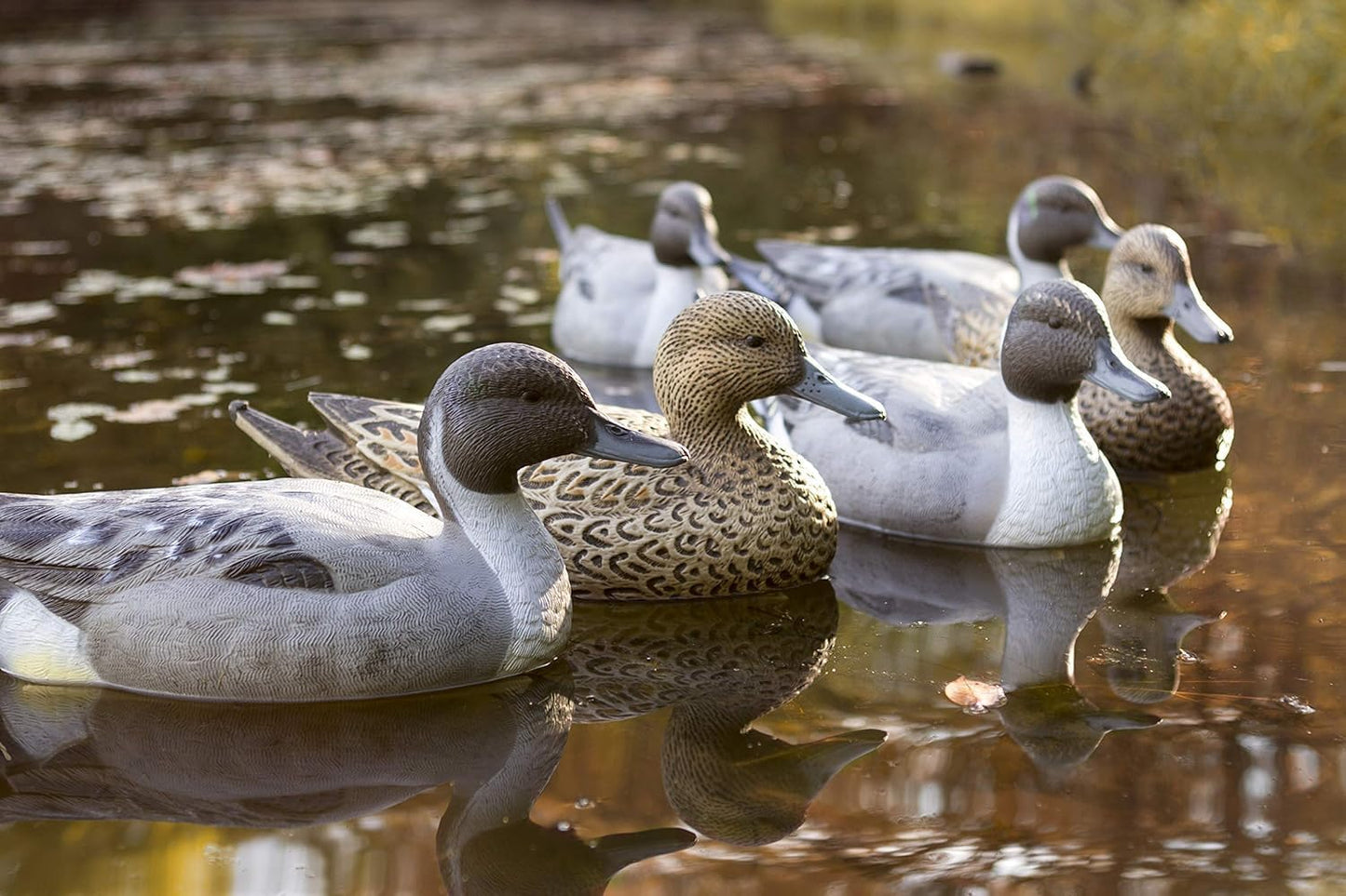 Flambeau Outdoors 8022SUV Storm Front 2 Pintail Decoys, Classic Floaters - 6-Pack