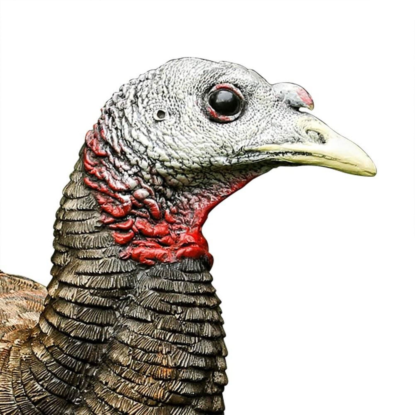 Avian-X Breeder Lifelike Collapsible Decoy LCD Folding Hen Turkey Hunting Decoy w/ 24 Inch Stake, No Flake Lifelike Paint Detailing, and Carrying Case