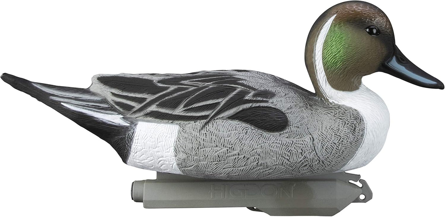 Higdon Outdoors Standard Pintail Duck Decoys, Foam-Filled
