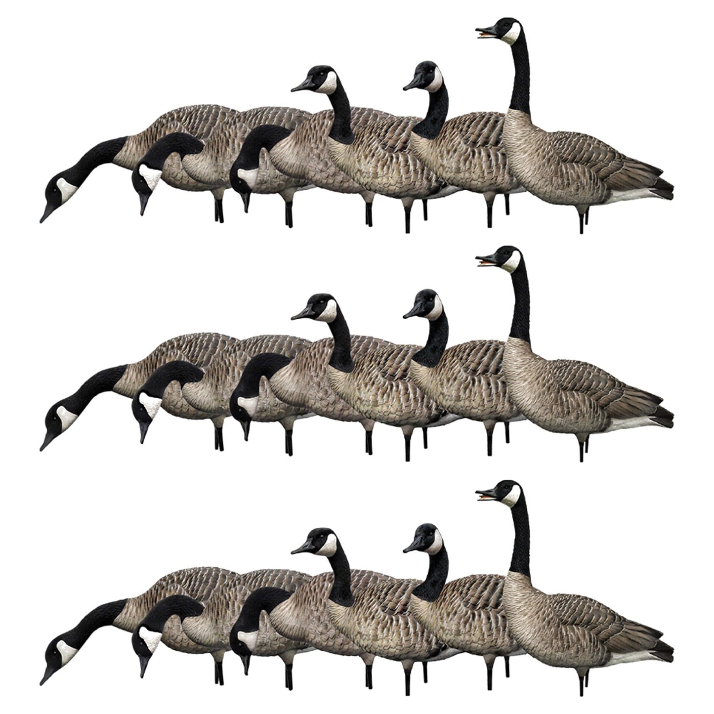 Avian X AXP Honkers Fusion Pack Full Body Canada Goose Decoys with Ultra Realistic Paint, Flocked Heads