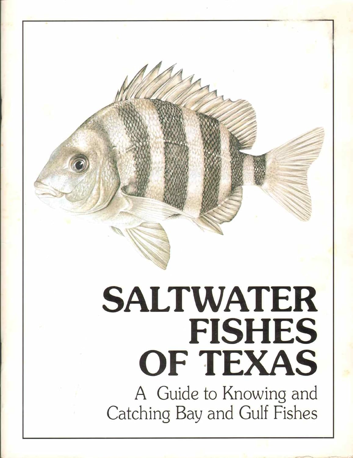 Saltwater Fishes of Texas: A Guide to Knowing & Catching Bay & Gulf Fishes