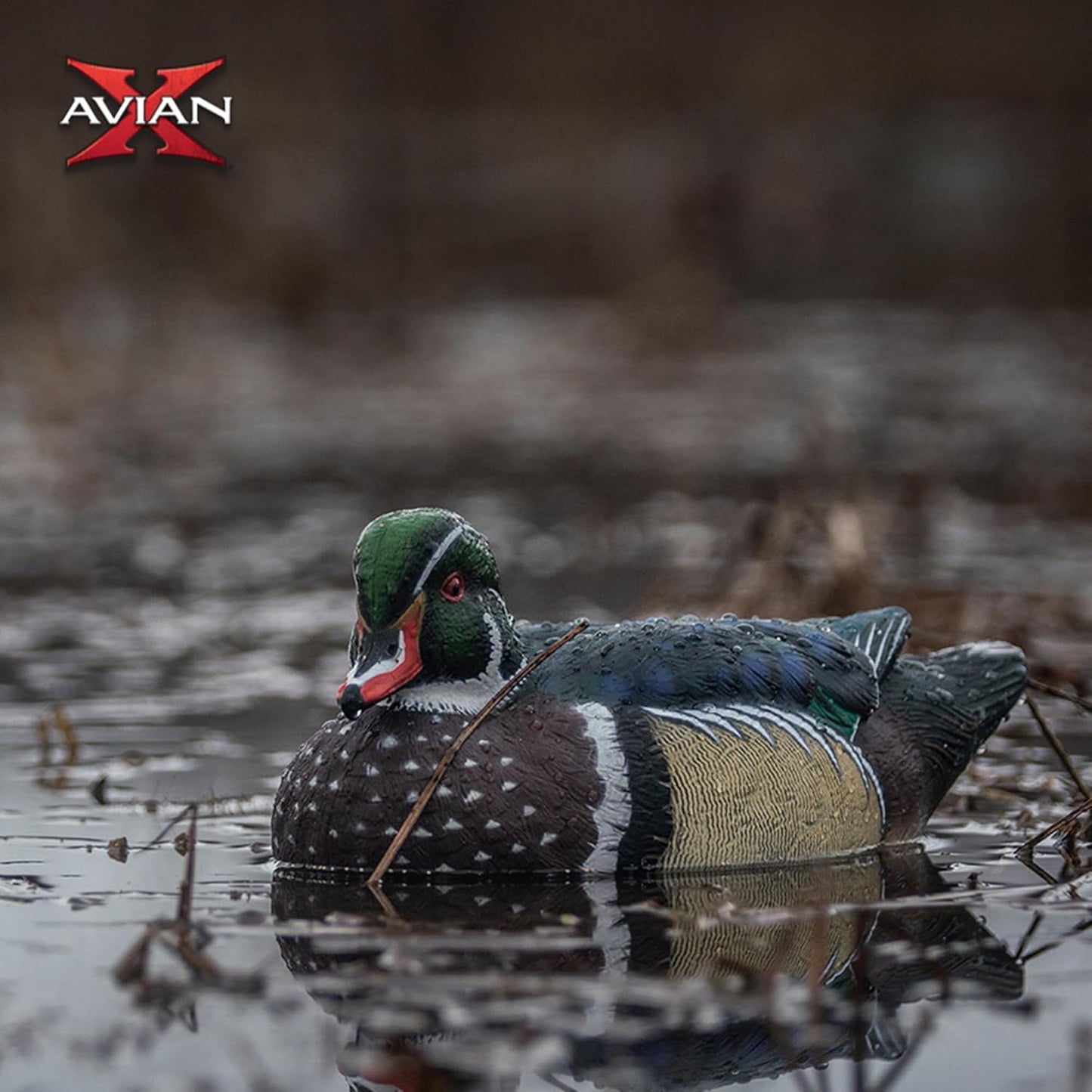 Avian X Topflight Pintail Decoys, Rugged Realistic Floating Duck Decoys for Hunting, Weight-Forward Swim Keel