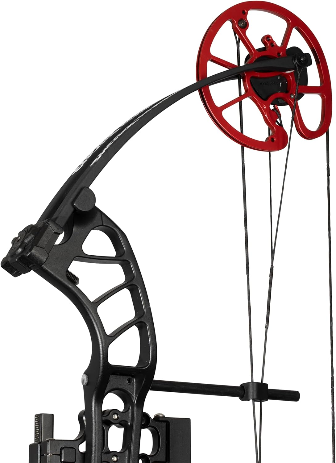 Cajun Bowfishing Shore Runner EVW Bowfishing Bow with Winch Pro Reel