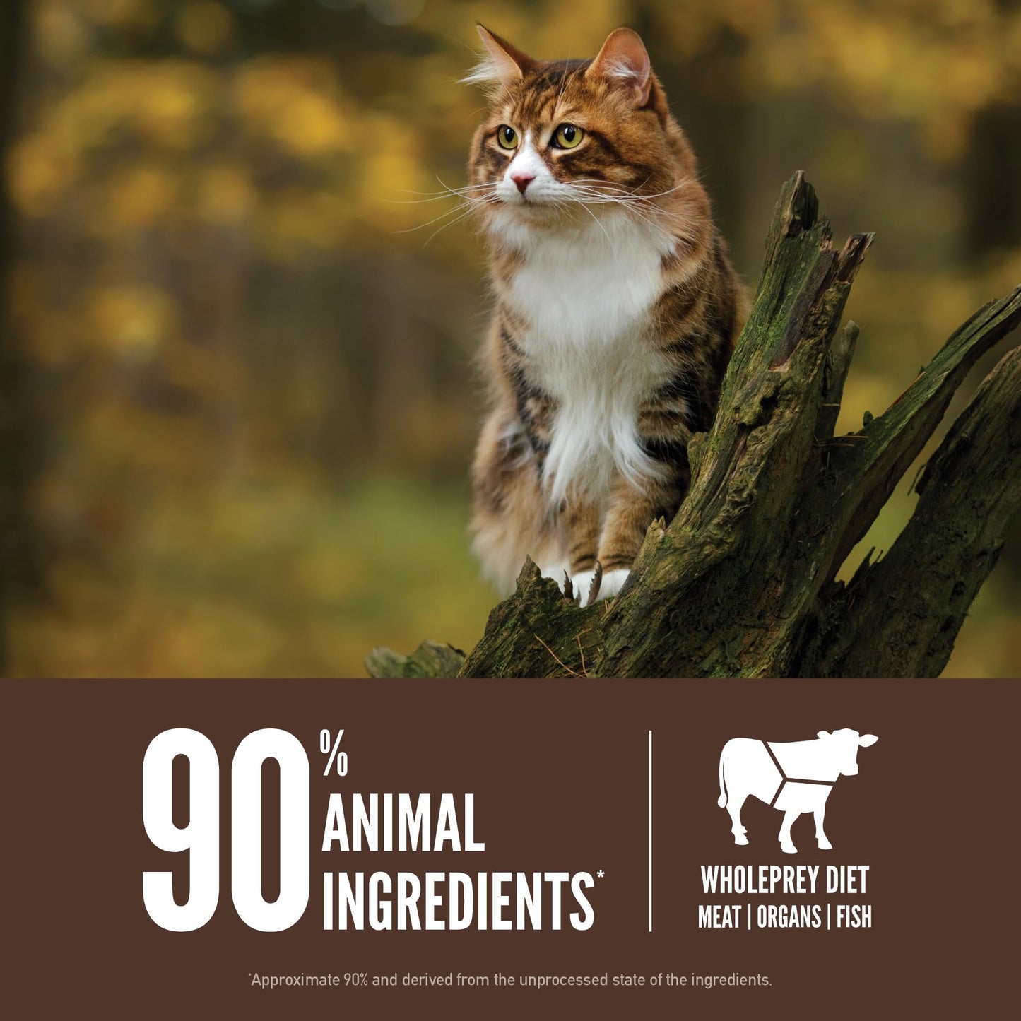 ORIJEN Grain Free High Protein Premium Dry Cat Food Original Recipe, 4lb Bag