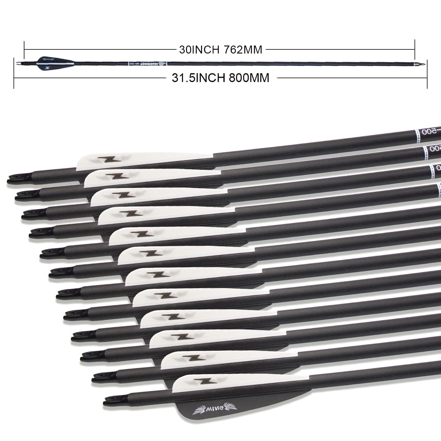 31inch Carbon Arrow Archery Targeting Practice Hunting Arrows for Compound & Recurve Bow with Removable Tips(Pack of 12)