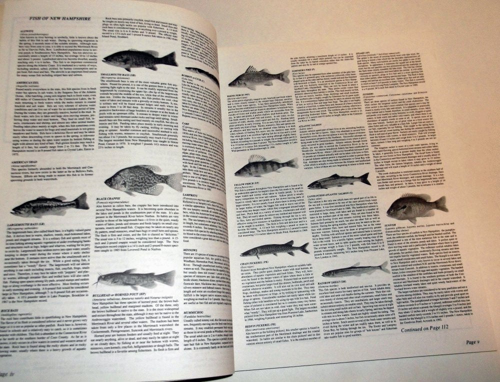 New Hampshire Fishing Maps
