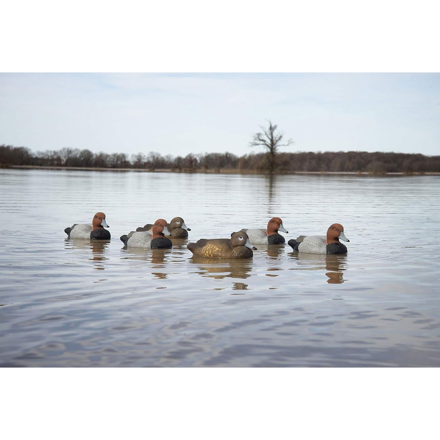 Higdon Outdoors | Standard Red Head Duck Decoys, Foam-Filled