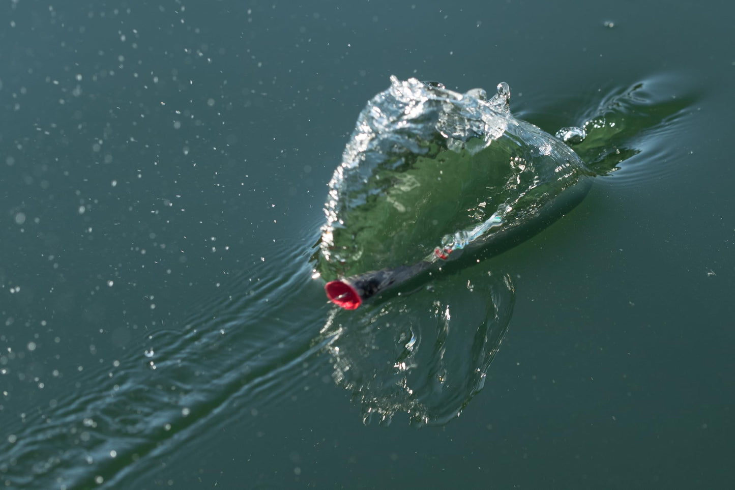 Berkley Choppo Fishing Hard Bait