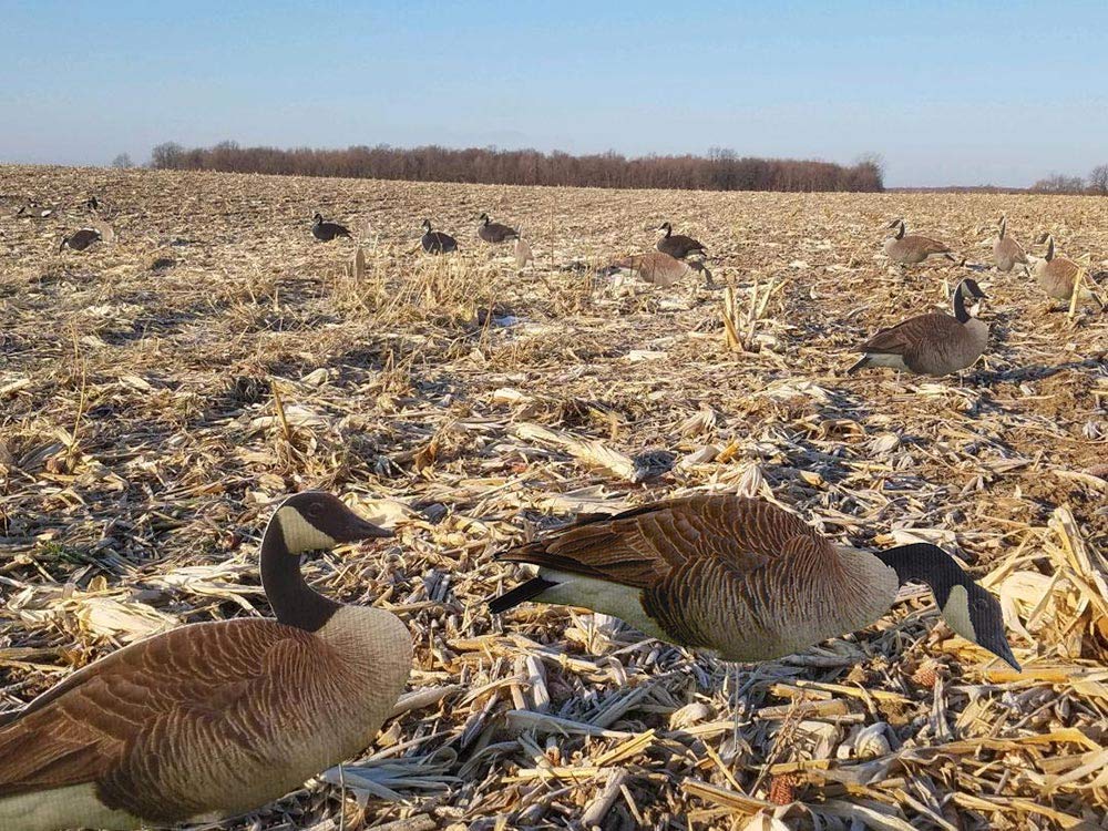 TCDesignerProducts, Silhouette Decoys, Hunting Decoys