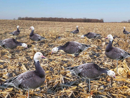 TCDesignerProducts, Silhouette Decoys, Hunting Decoys