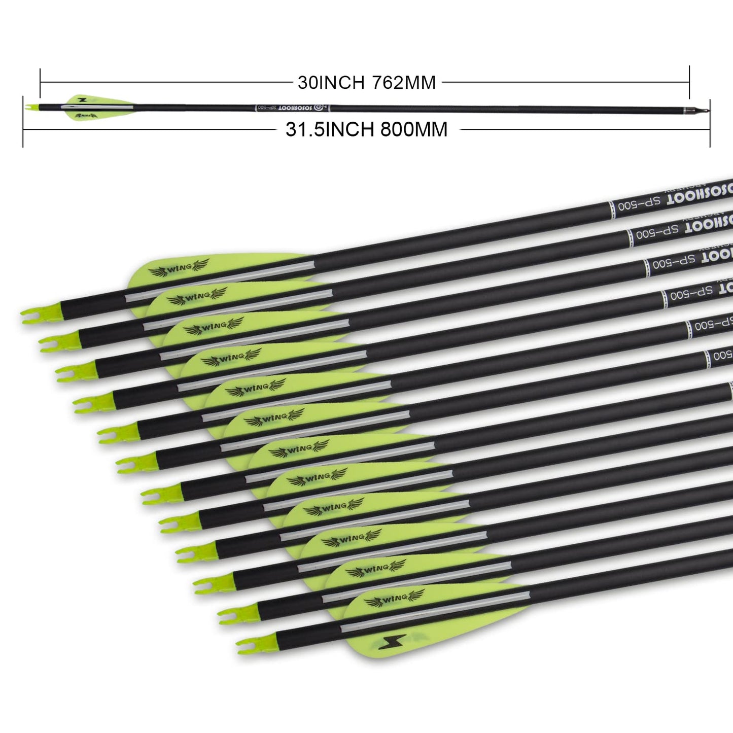 31inch Carbon Arrow Archery Targeting Practice Hunting Arrows for Compound & Recurve Bow with Removable Tips(Pack of 12)