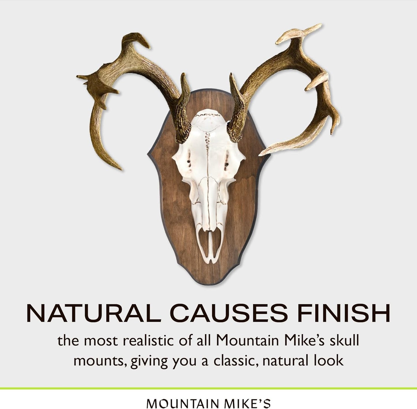 Mountain Mike’s Black Forest Universal Antler Mounting Kit - Plaque and 3D Skull Mount Kit - Compatible with Harvested and Shed Antlers - Rustic Home Decor - Great Outdoor Inspired (Natural Causes)