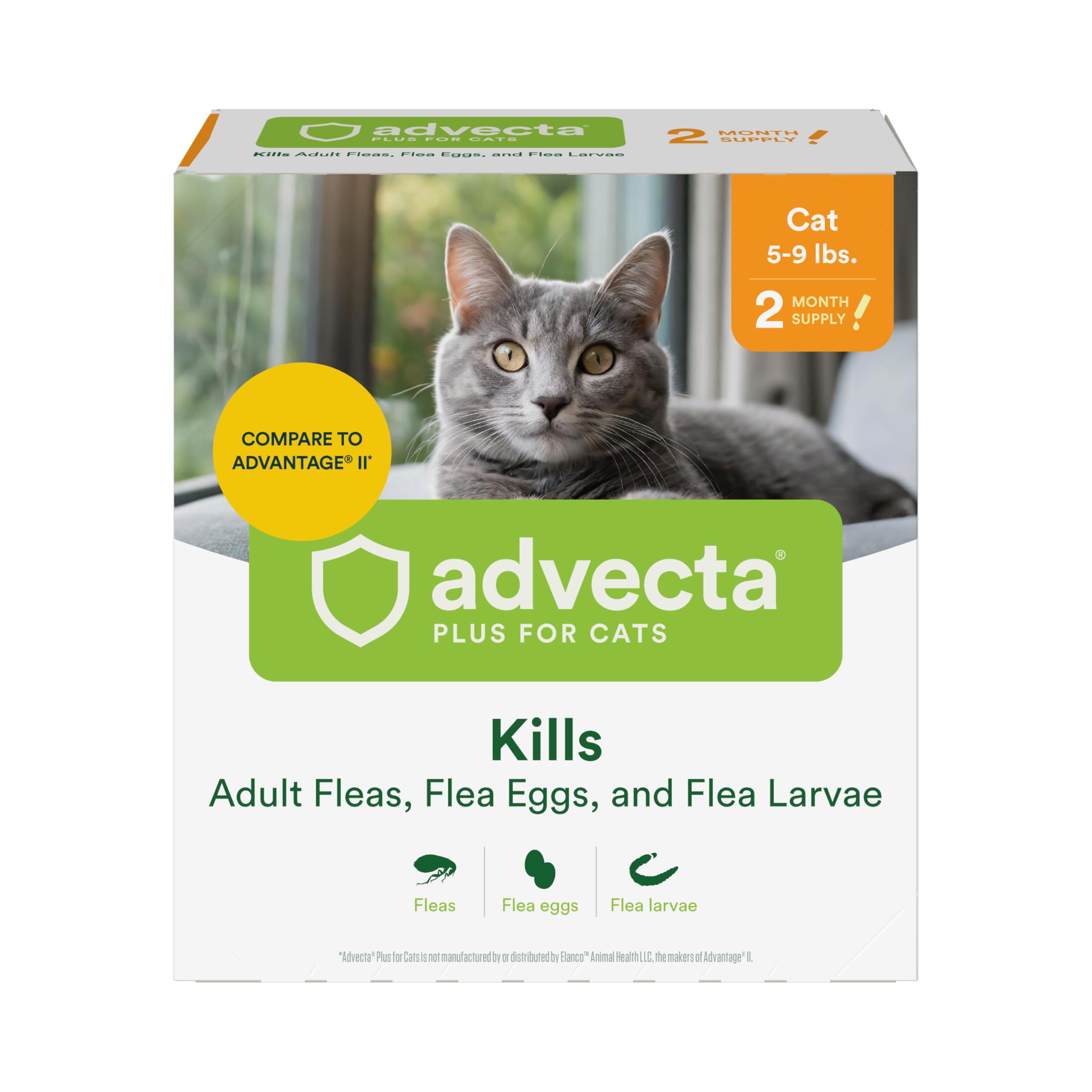Beautiful view of Advice On Flea Prevention For Cats