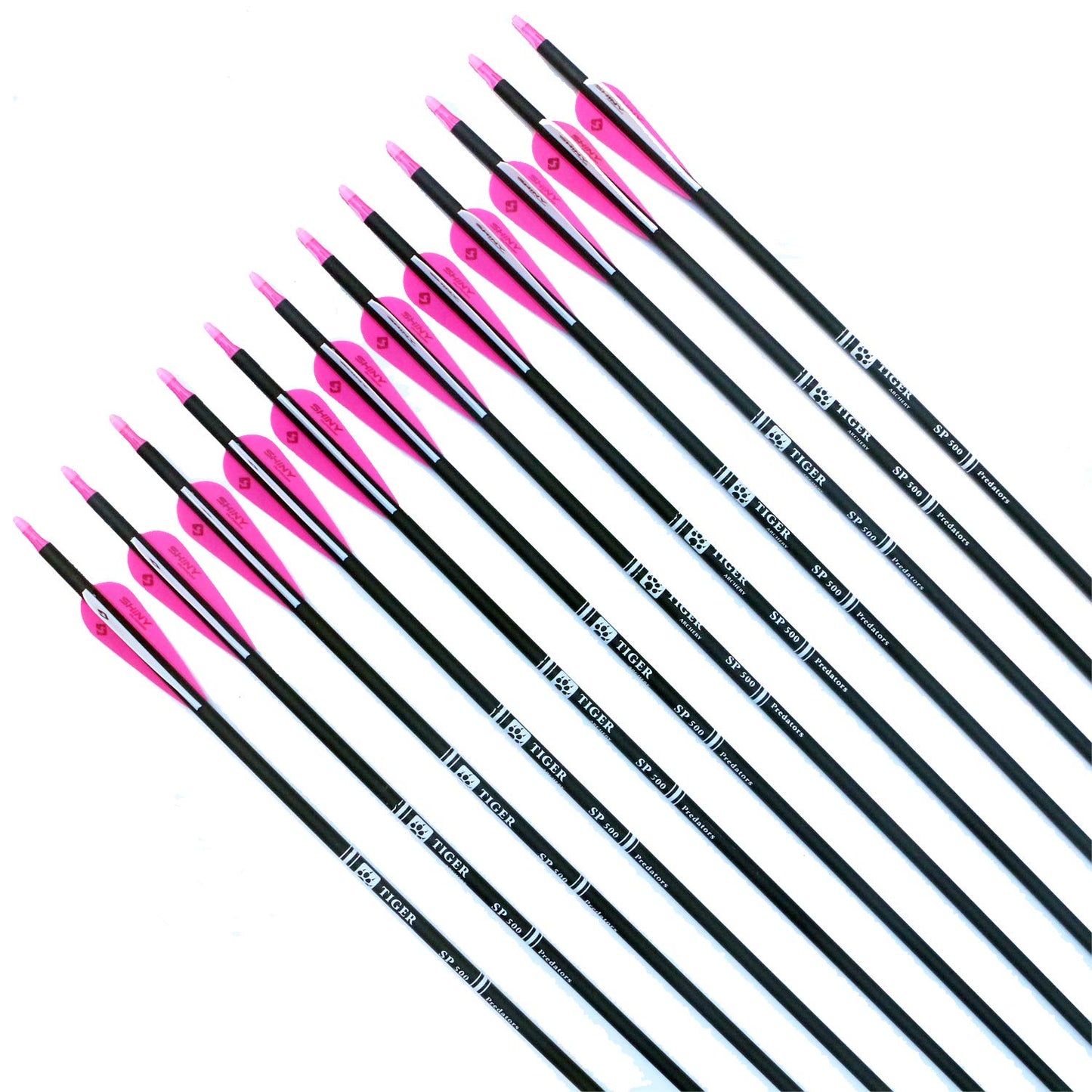 30Inch Carbon Arrow Practice Hunting Arrows with Removable Tips for Compound & Recurve Bow(Pack of 12)