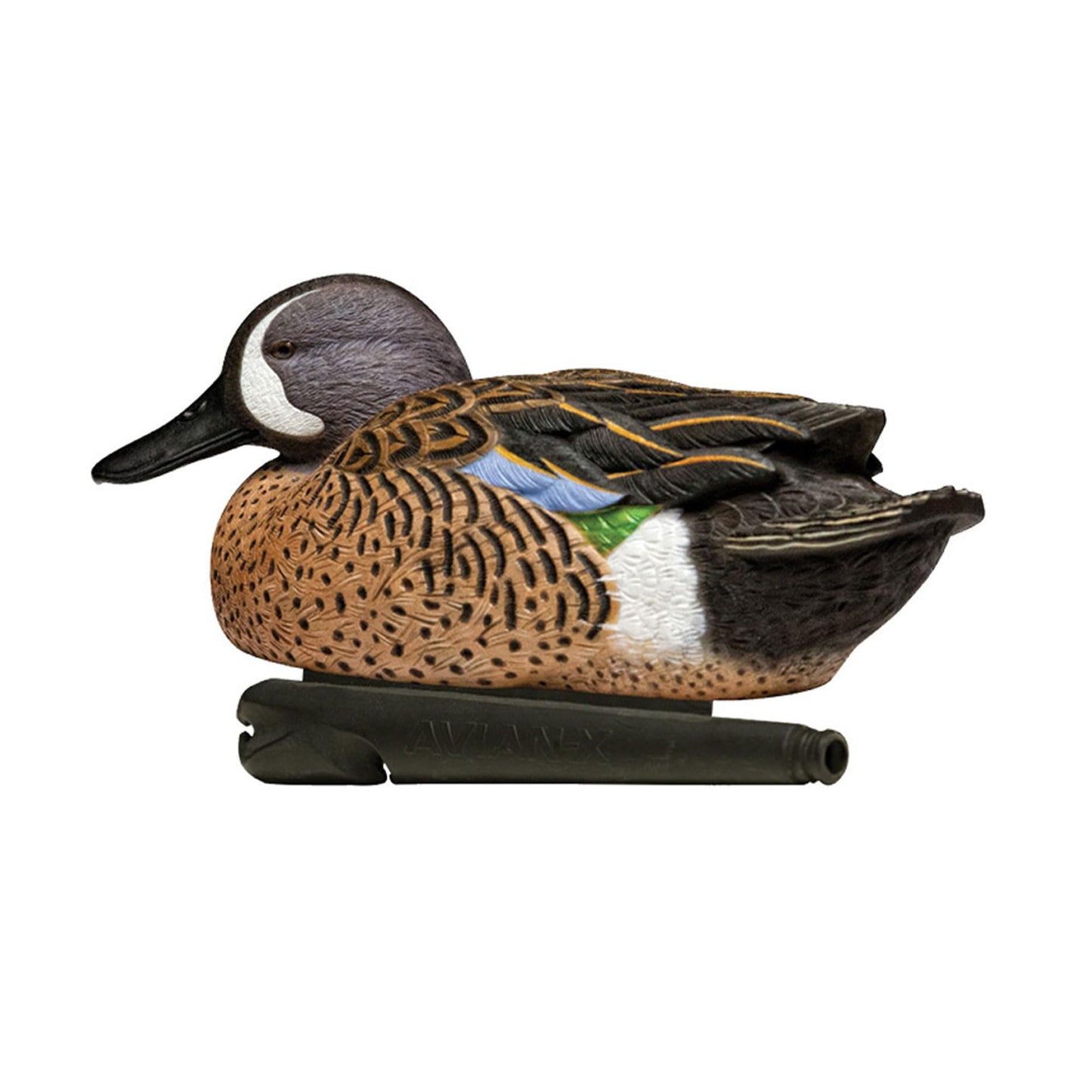 Avian X Topflight Blue-Winged Teal Decoys, Realistic Floating Duck Decoys for Hunting, Weight-Forward Swim Keel