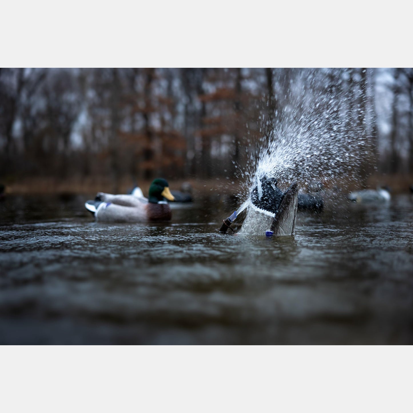 Higdon Outdoors Pulastor PRO | Motion Waterfowl Decoy | Compatible in Fresh Salt and Brackish Water | Spraying Rocking and Feeding Motion
