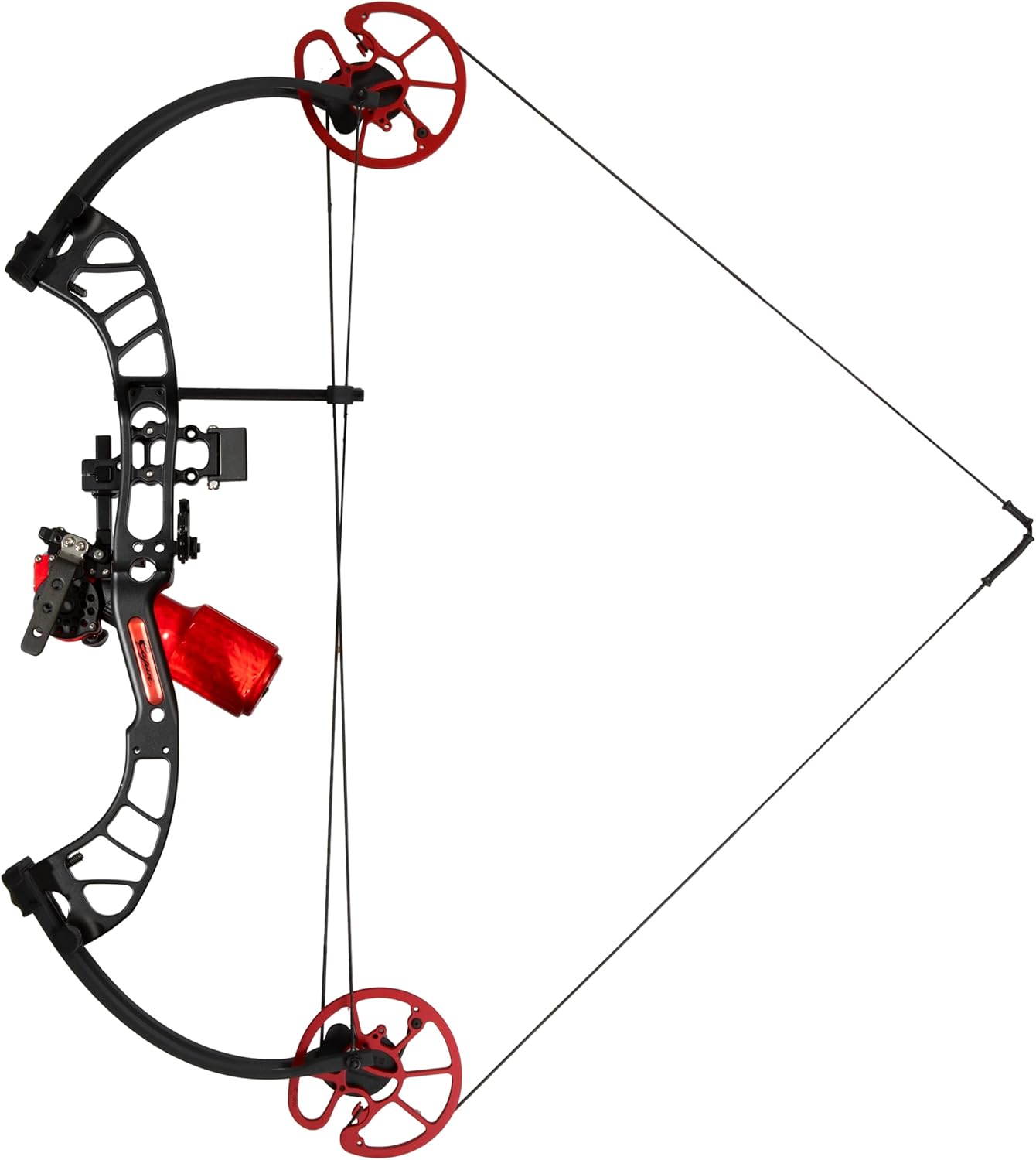 Cajun Bowfishing Shore Runner EVW Bowfishing Bow with Winch Pro Reel