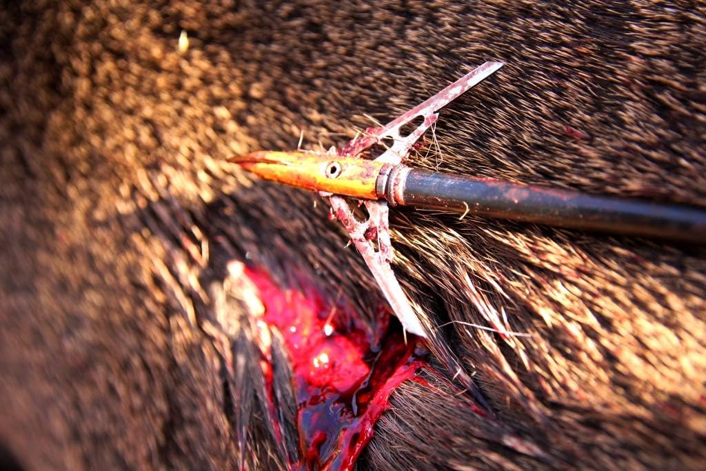 Bowhunting Xtreme Series Mechanical Broadheads, 2 Blade, 100 Grain 2.3 Inch Cutting Diameter, 3 Pack