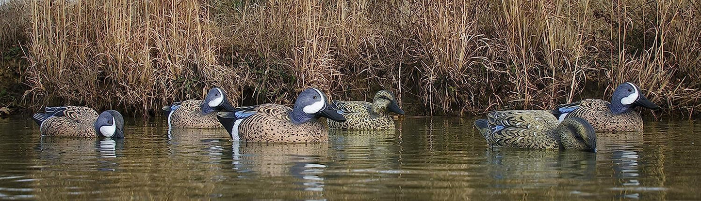 Higdon Outdoors | Standard Blue Wing Teal Duck Decoys, Foam-Filled