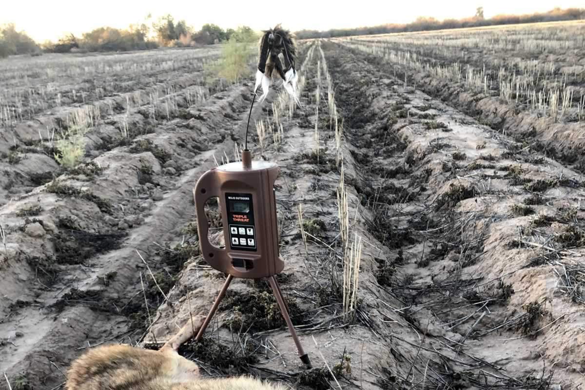 MOJO Triple Threat Predator Decoy & E-Caller – Complete Hunting System with 80 Sounds, Remote Control, Critter Decoy, Rechargeable Battery Compatible, and Durable Design