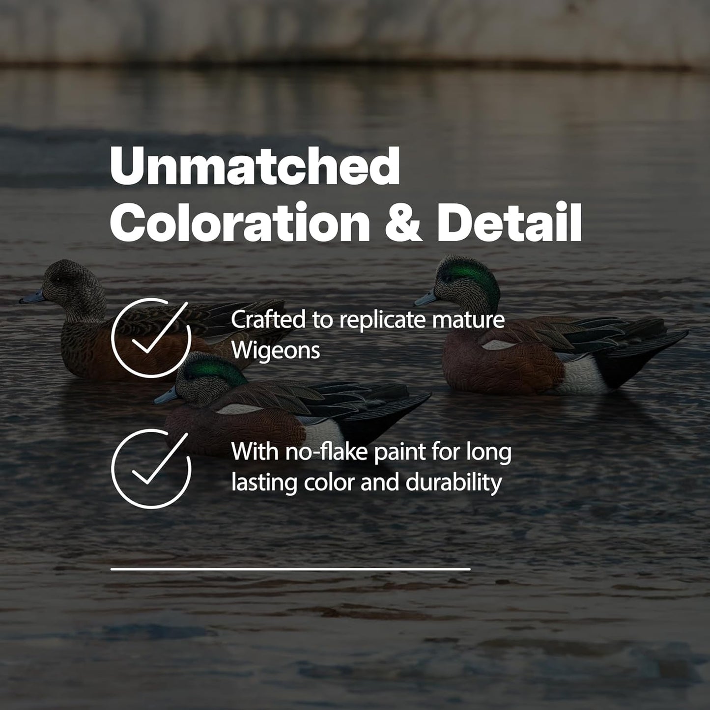 Avian X Topflight Wigeons Decoys with Topflight Pintails and Gadwall Decoys, Realistic Floating Decoys, 6 Pack Each, Multicolor