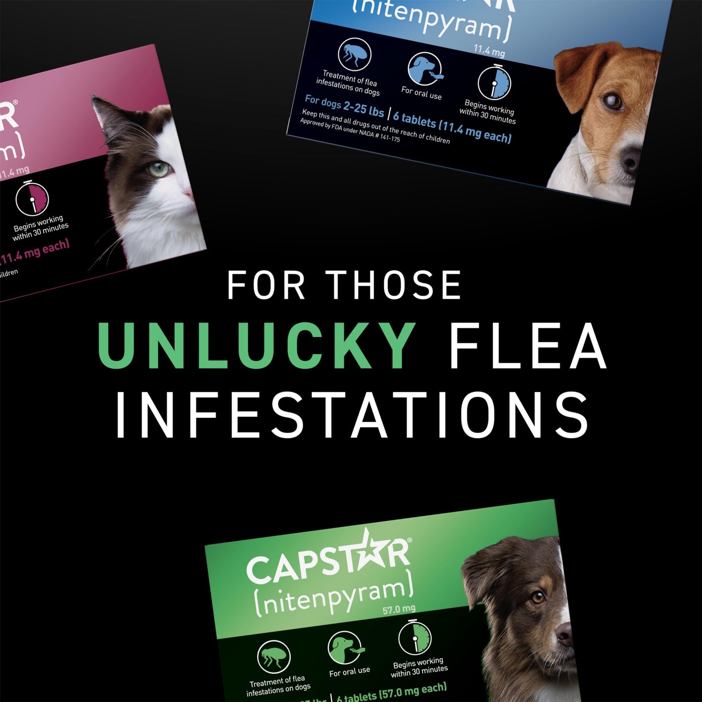 CAPSTAR (nitenpyram) Oral Flea Treatment for Cats, Fast Acting Tablets Start Killing Fleas in 30 Minutes, Cats 2-25 lbs, 6 Doses